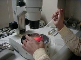 2025年南通附属医院单身做试管婴儿需要多少钱呢？详细费用多