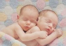 试管婴儿胚胎移植越多着床率越高吗？